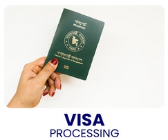 Visa Service
